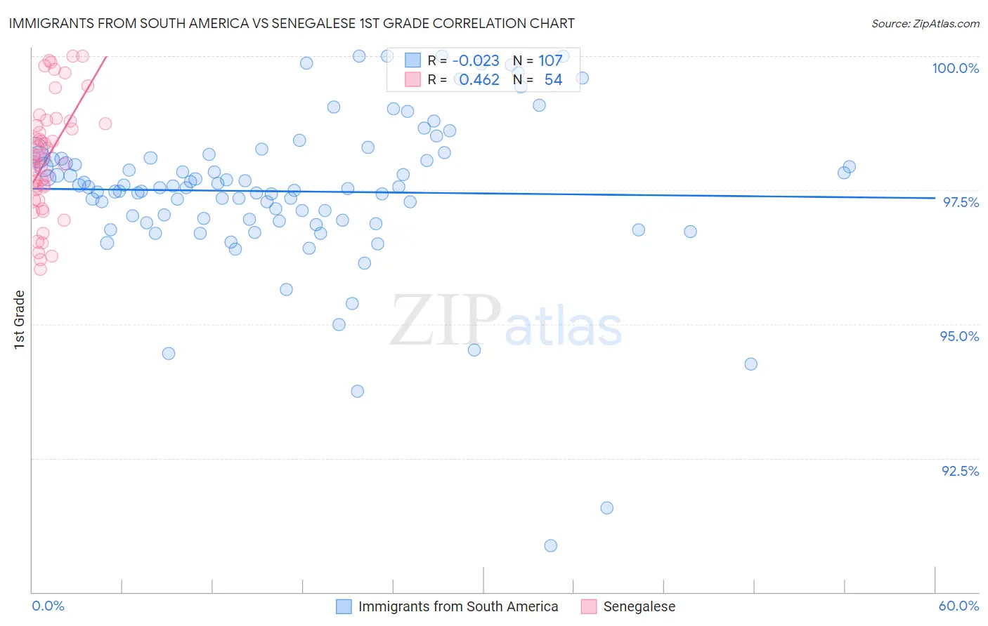 Immigrants from South America vs Senegalese 1st Grade