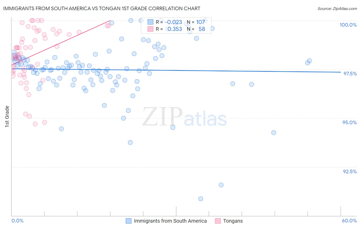 Immigrants from South America vs Tongan 1st Grade