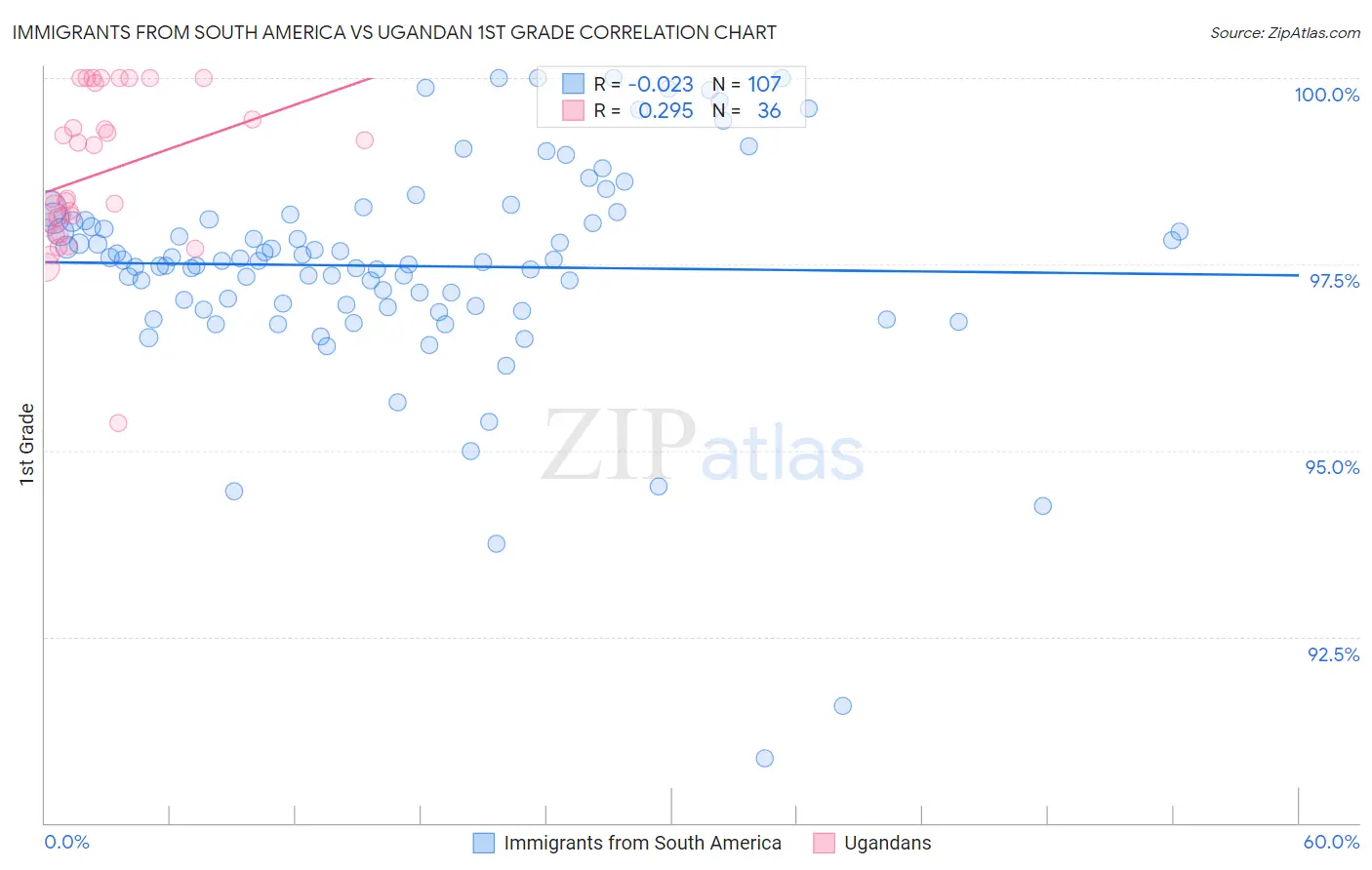 Immigrants from South America vs Ugandan 1st Grade
