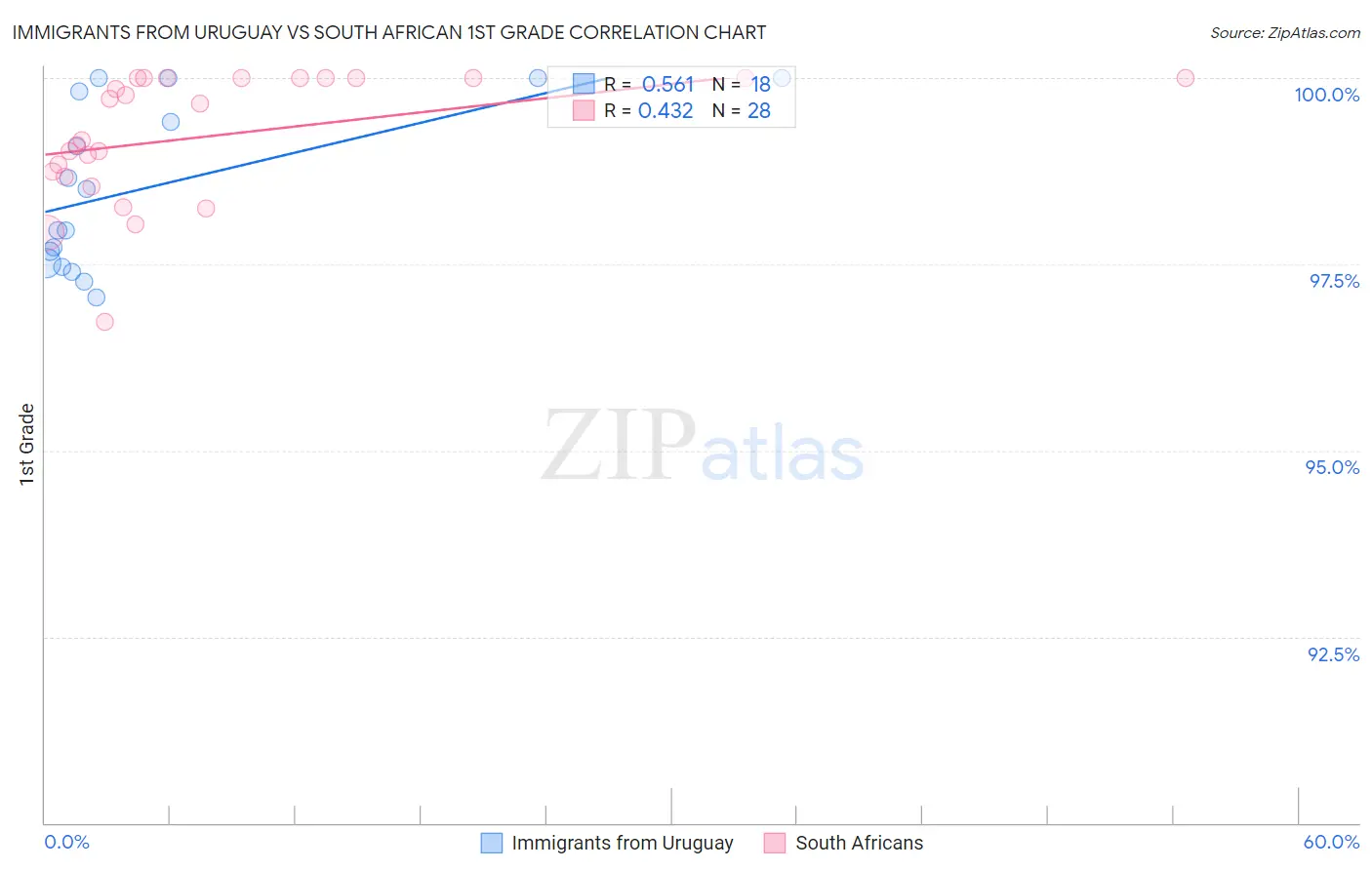 Immigrants from Uruguay vs South African 1st Grade