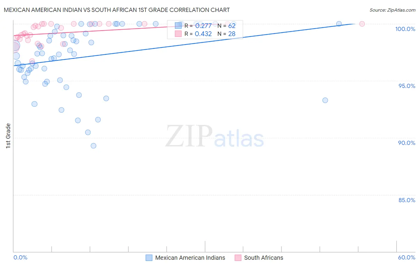 Mexican American Indian vs South African 1st Grade