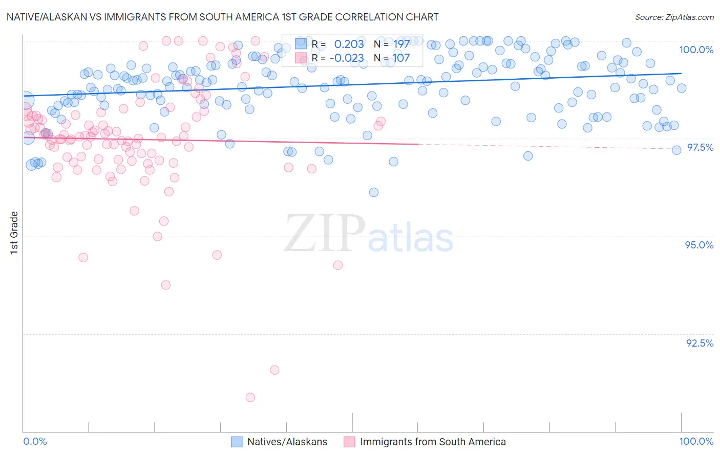 Native/Alaskan vs Immigrants from South America 1st Grade