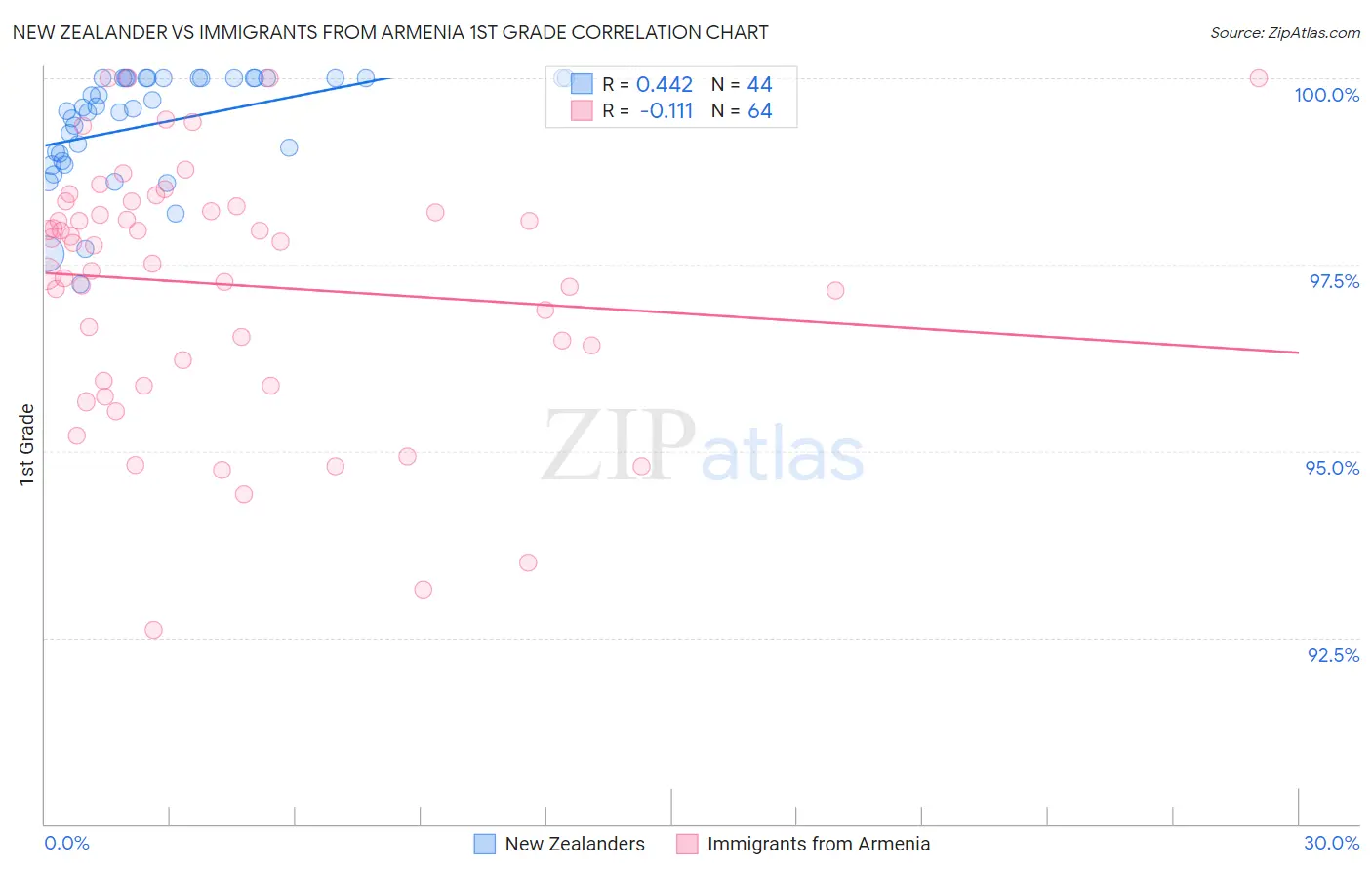 New Zealander vs Immigrants from Armenia 1st Grade