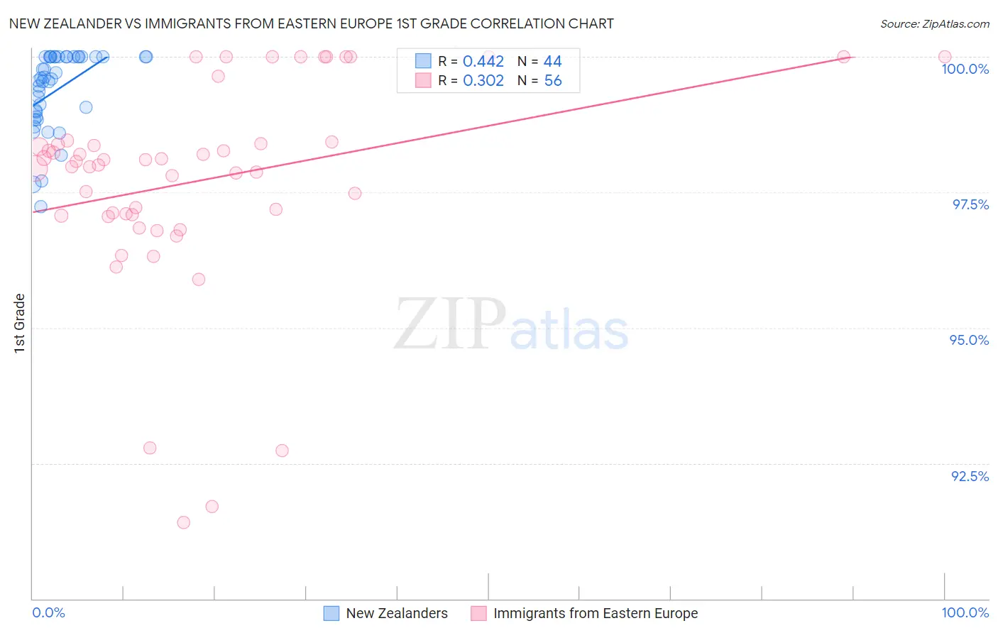New Zealander vs Immigrants from Eastern Europe 1st Grade