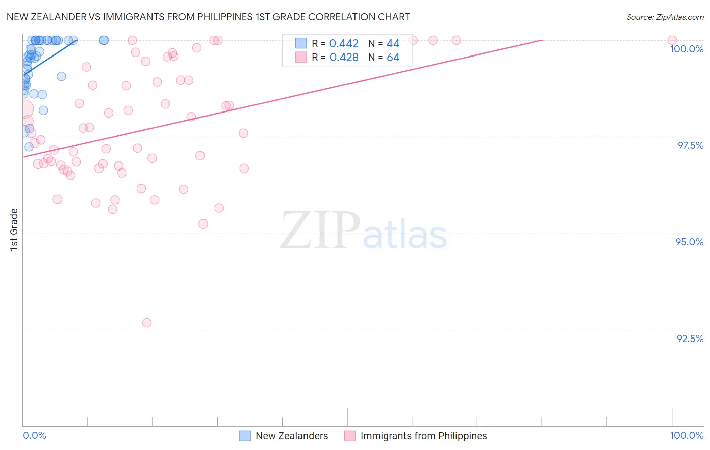 New Zealander vs Immigrants from Philippines 1st Grade