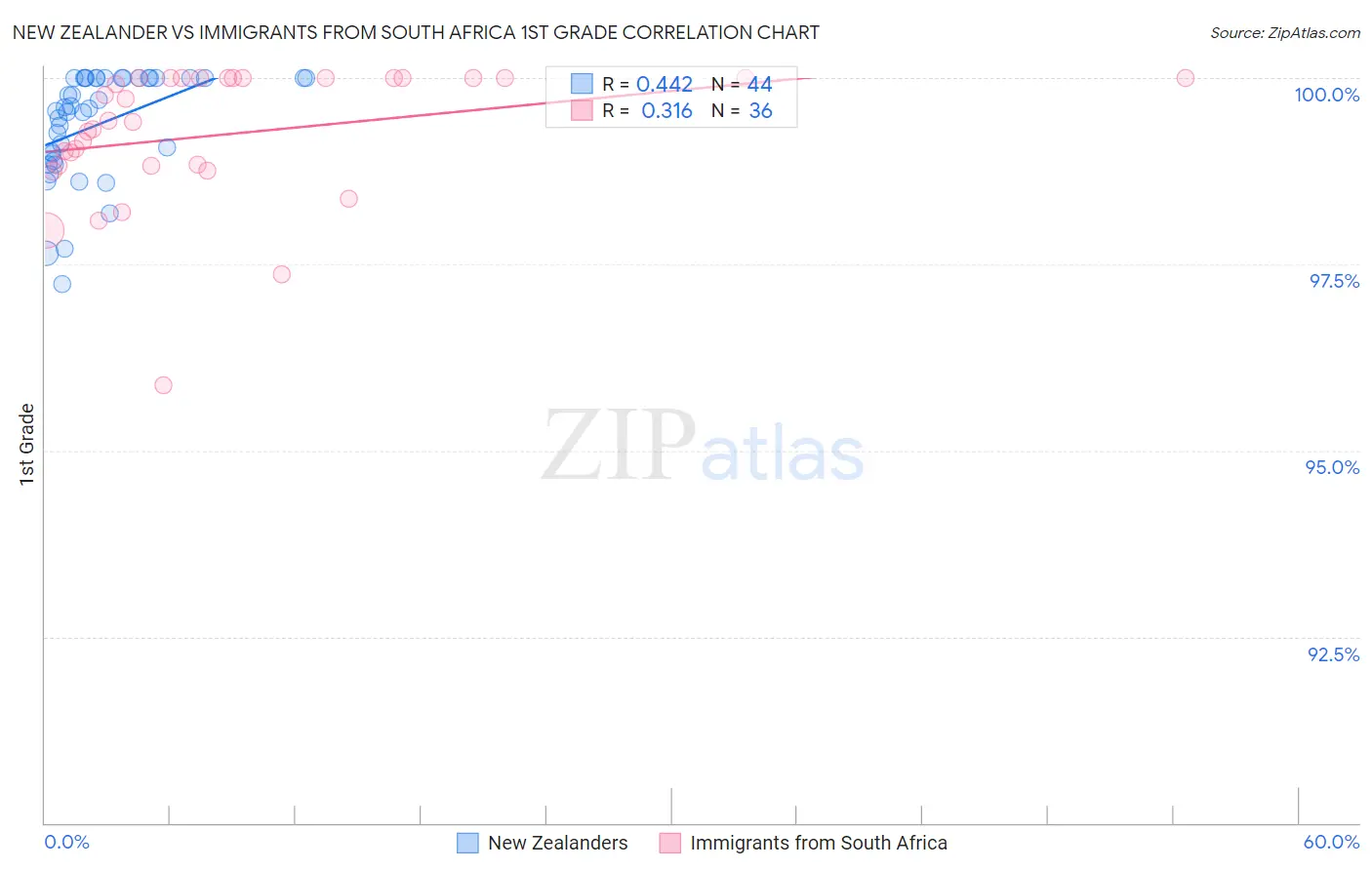 New Zealander vs Immigrants from South Africa 1st Grade