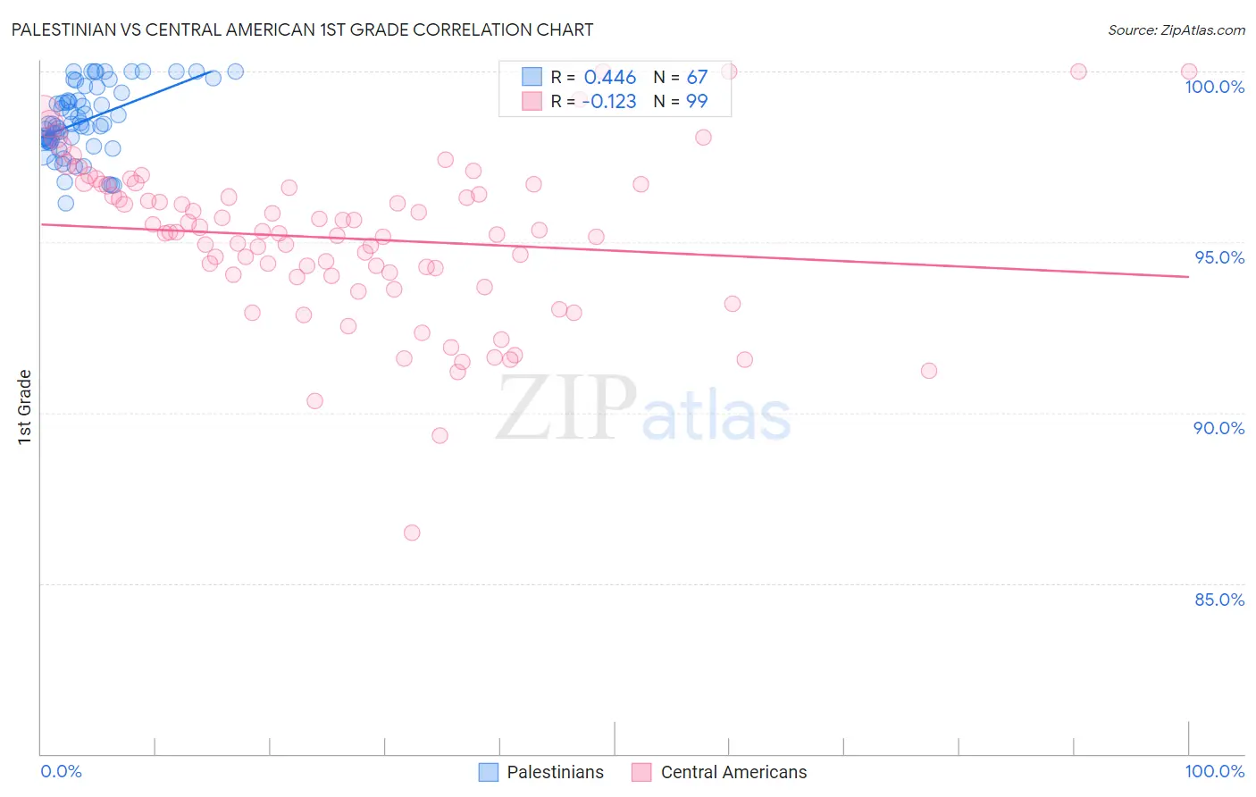 Palestinian vs Central American 1st Grade