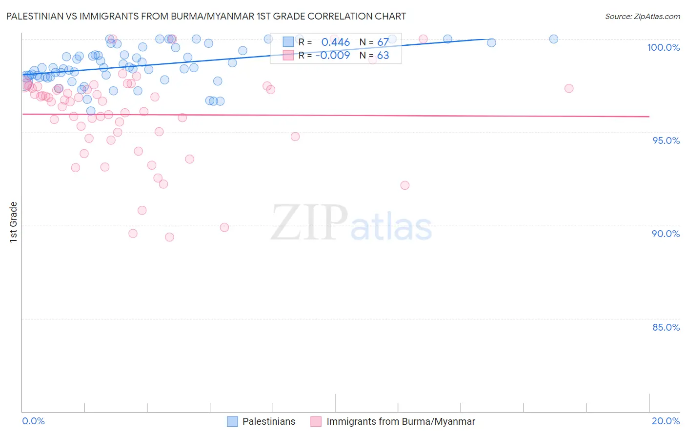 Palestinian vs Immigrants from Burma/Myanmar 1st Grade