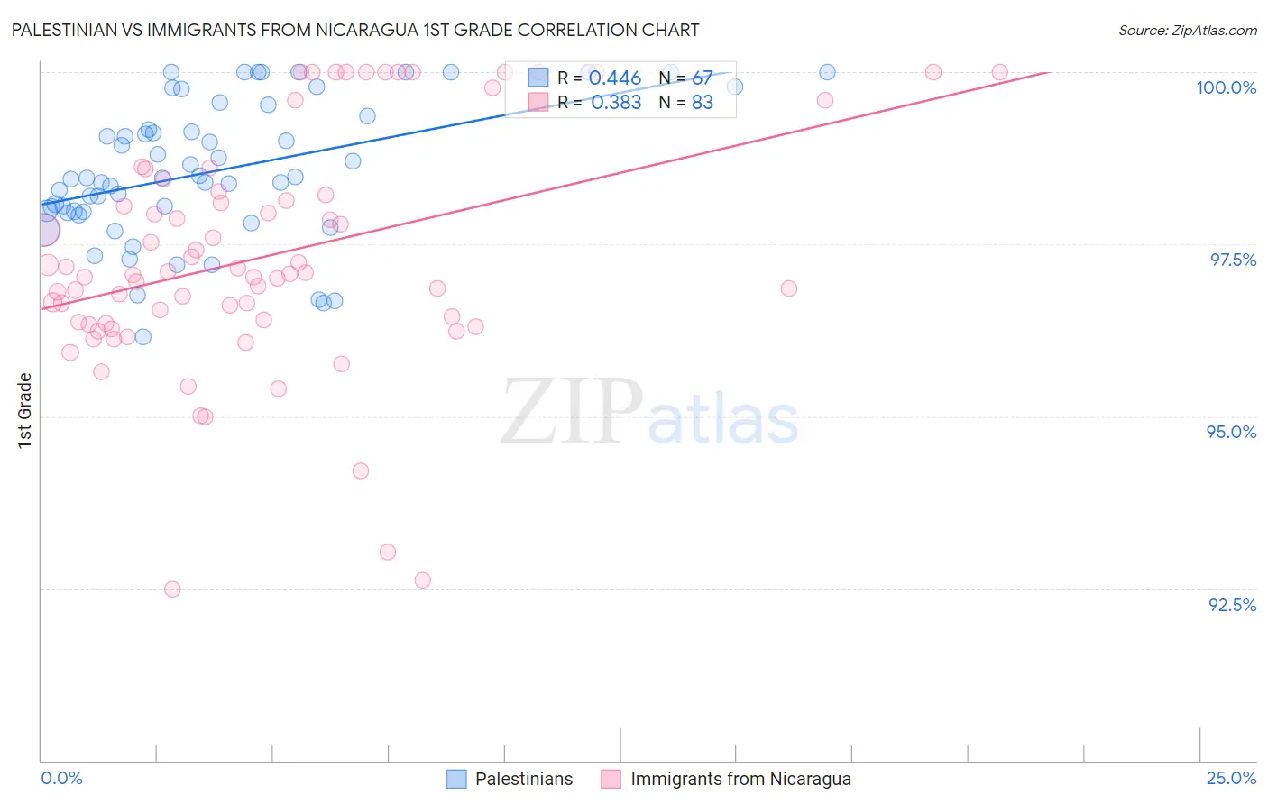 Palestinian vs Immigrants from Nicaragua 1st Grade