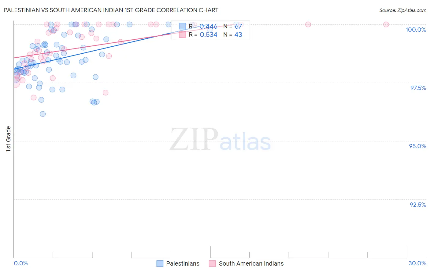 Palestinian vs South American Indian 1st Grade