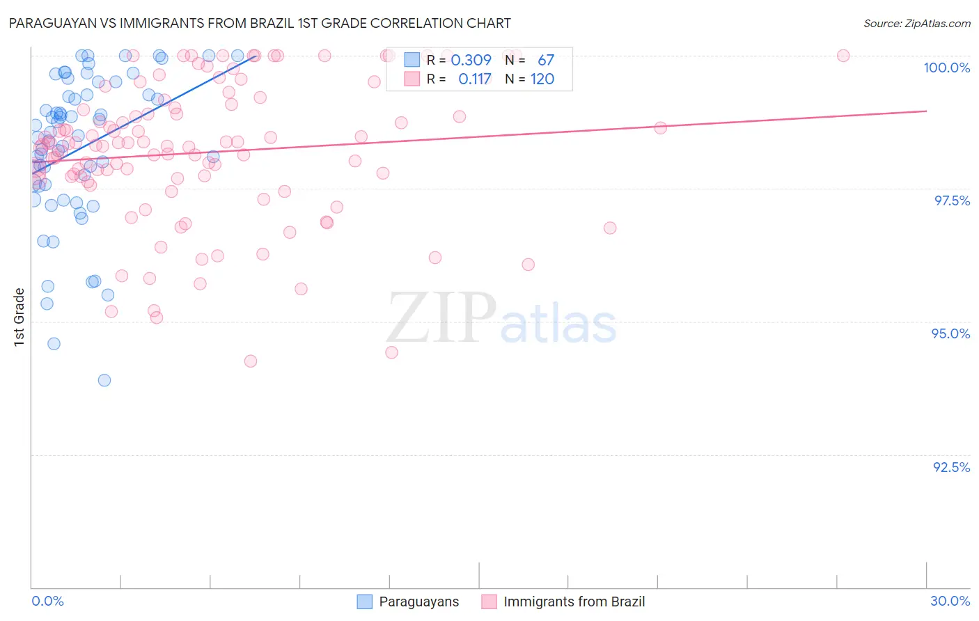 Paraguayan vs Immigrants from Brazil 1st Grade