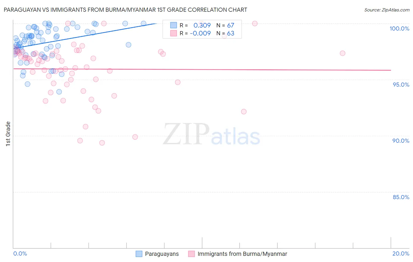Paraguayan vs Immigrants from Burma/Myanmar 1st Grade
