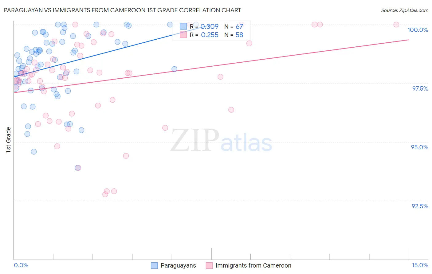 Paraguayan vs Immigrants from Cameroon 1st Grade