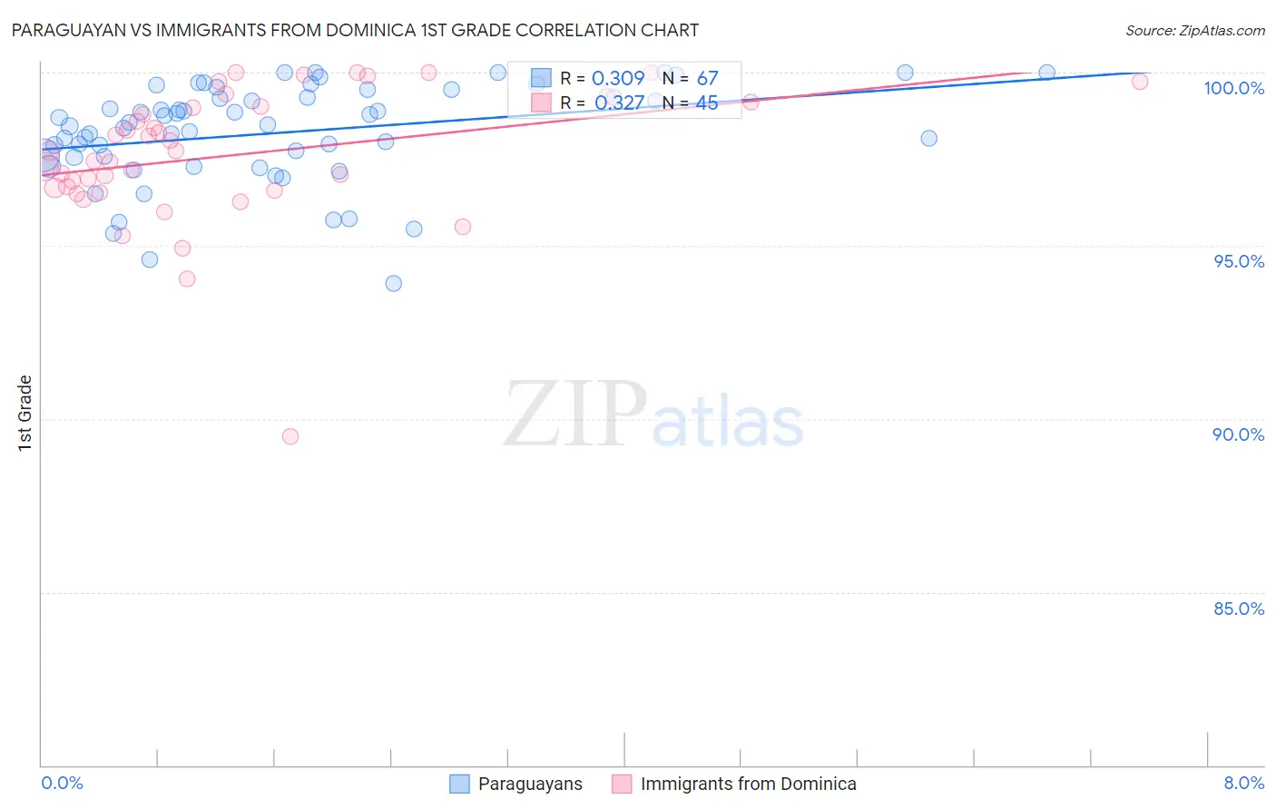Paraguayan vs Immigrants from Dominica 1st Grade