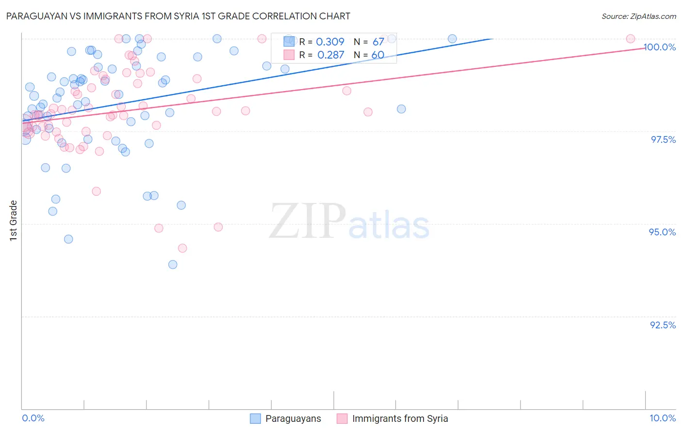 Paraguayan vs Immigrants from Syria 1st Grade