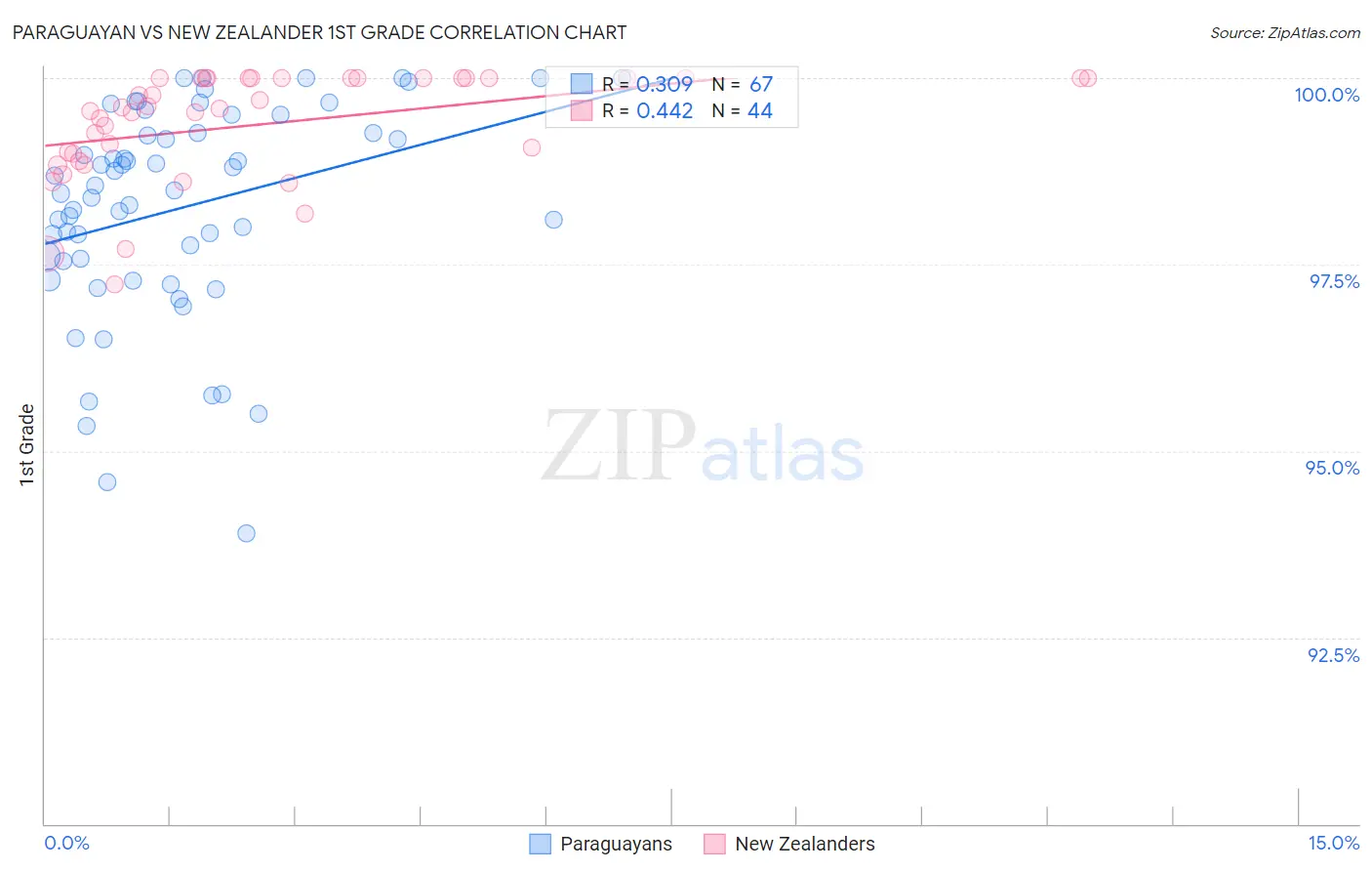 Paraguayan vs New Zealander 1st Grade