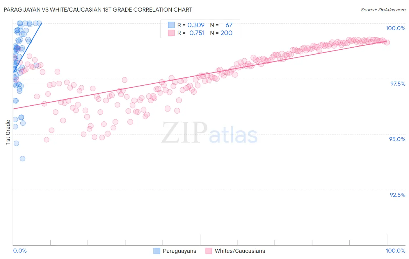 Paraguayan vs White/Caucasian 1st Grade
