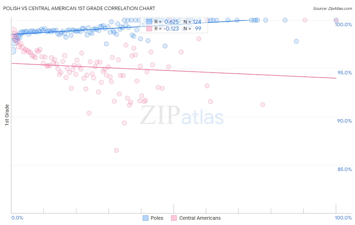 Polish vs Central American 1st Grade
