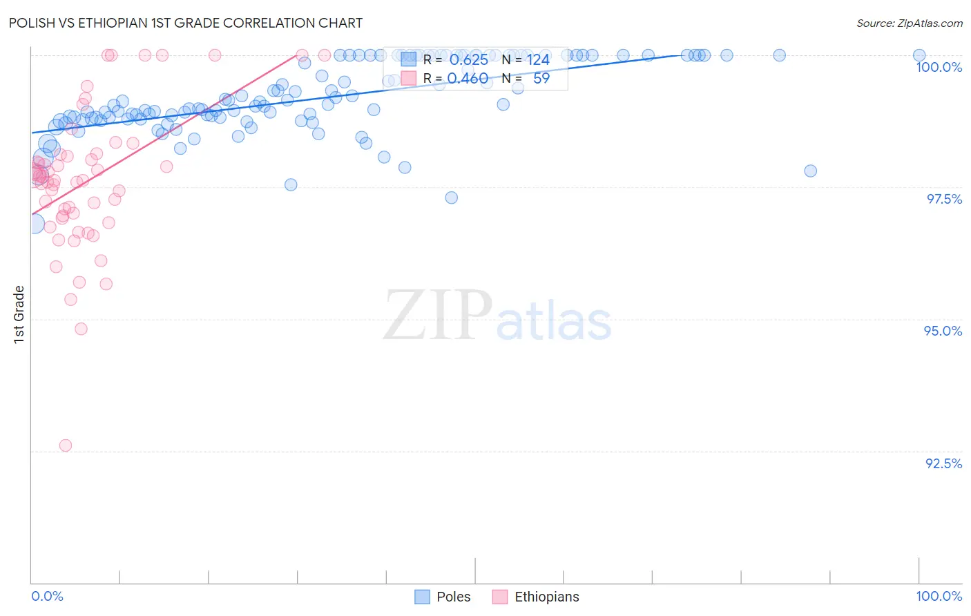 Polish vs Ethiopian 1st Grade