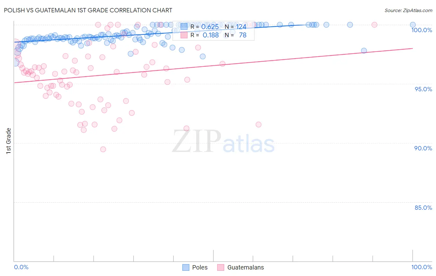 Polish vs Guatemalan 1st Grade