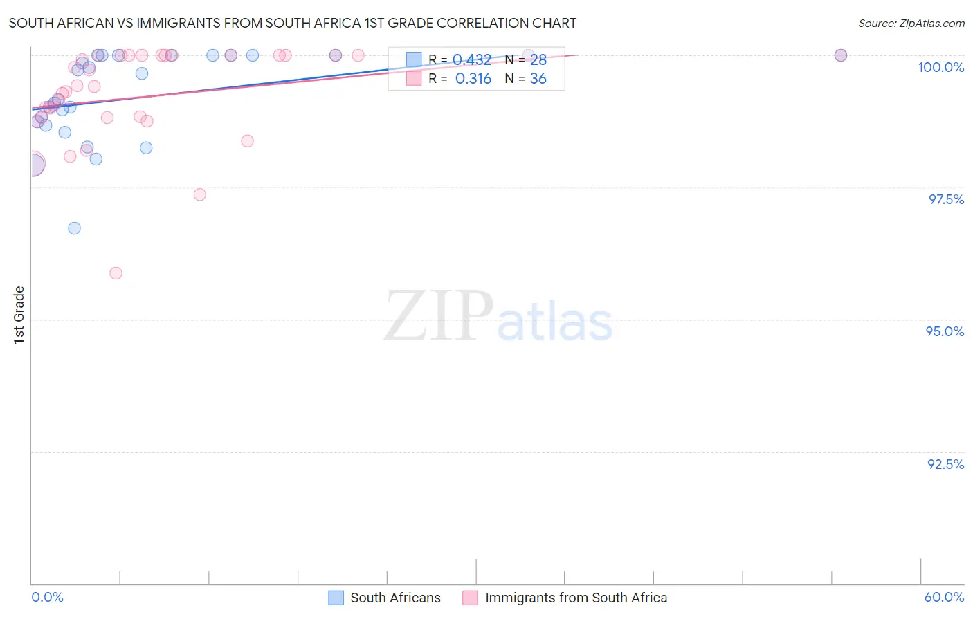 South African vs Immigrants from South Africa 1st Grade