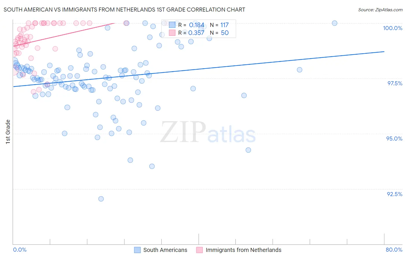 South American vs Immigrants from Netherlands 1st Grade