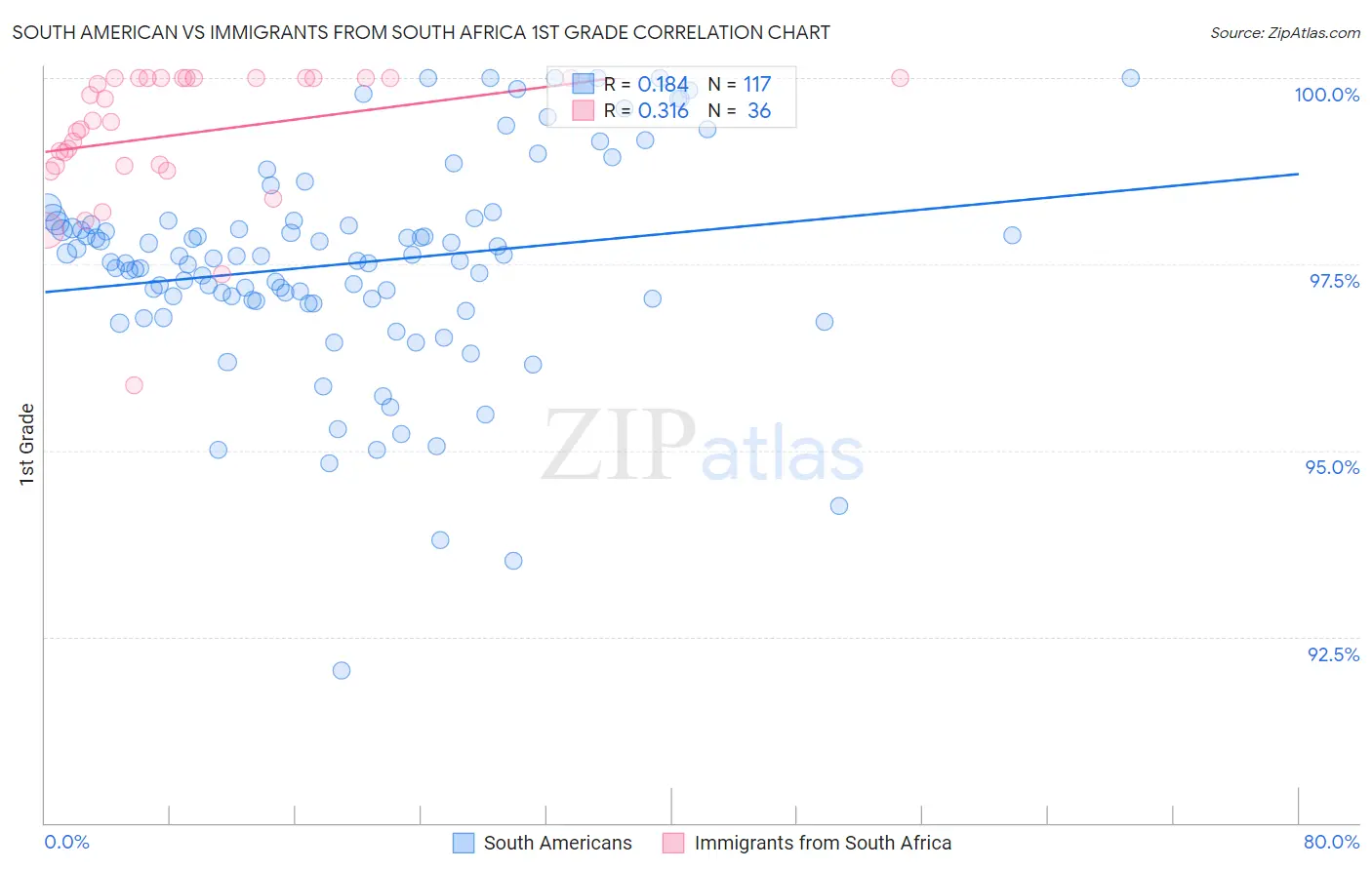 South American vs Immigrants from South Africa 1st Grade