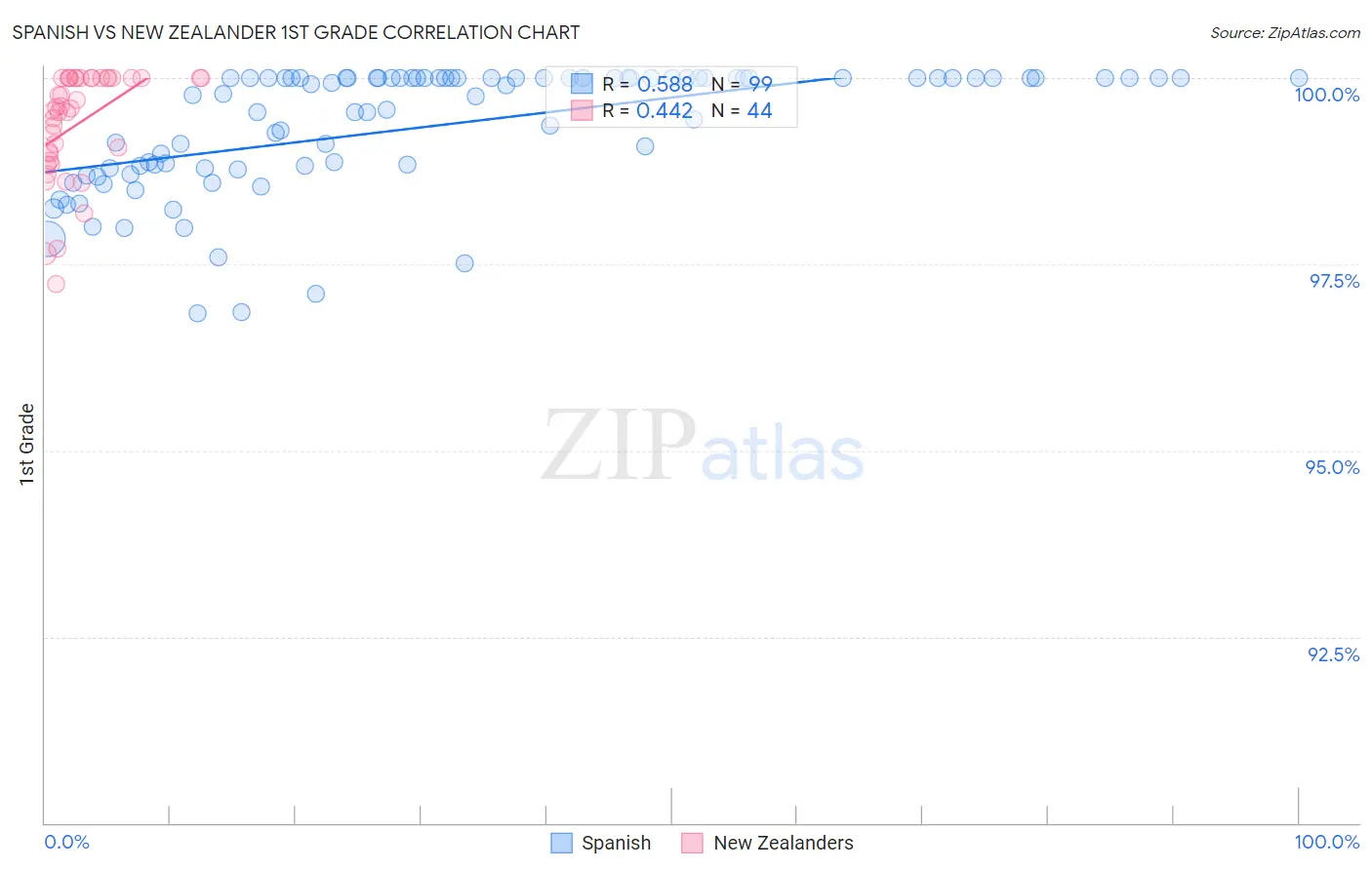 Spanish vs New Zealander 1st Grade