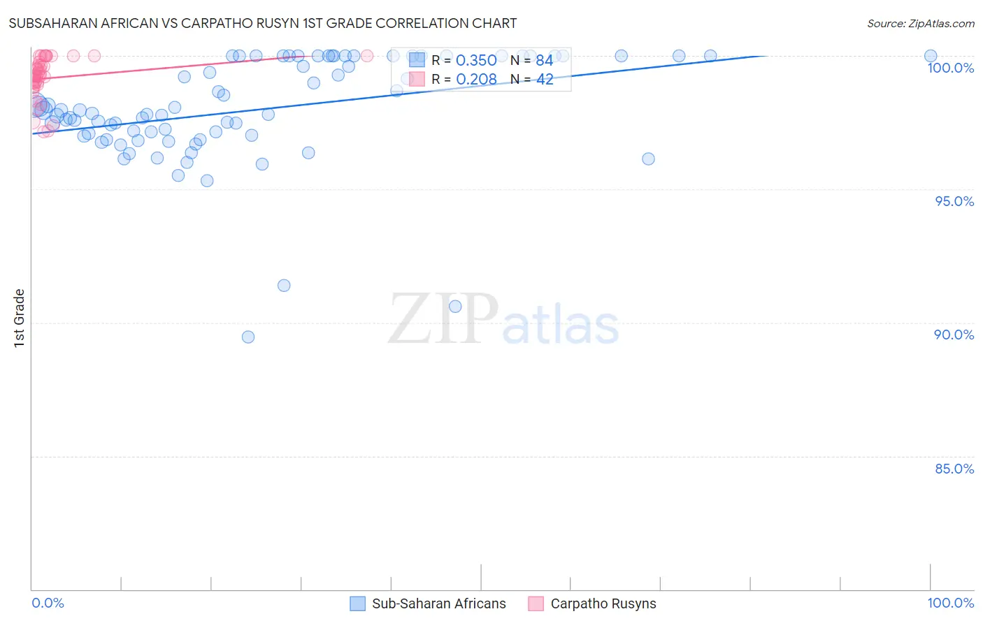 Subsaharan African vs Carpatho Rusyn 1st Grade