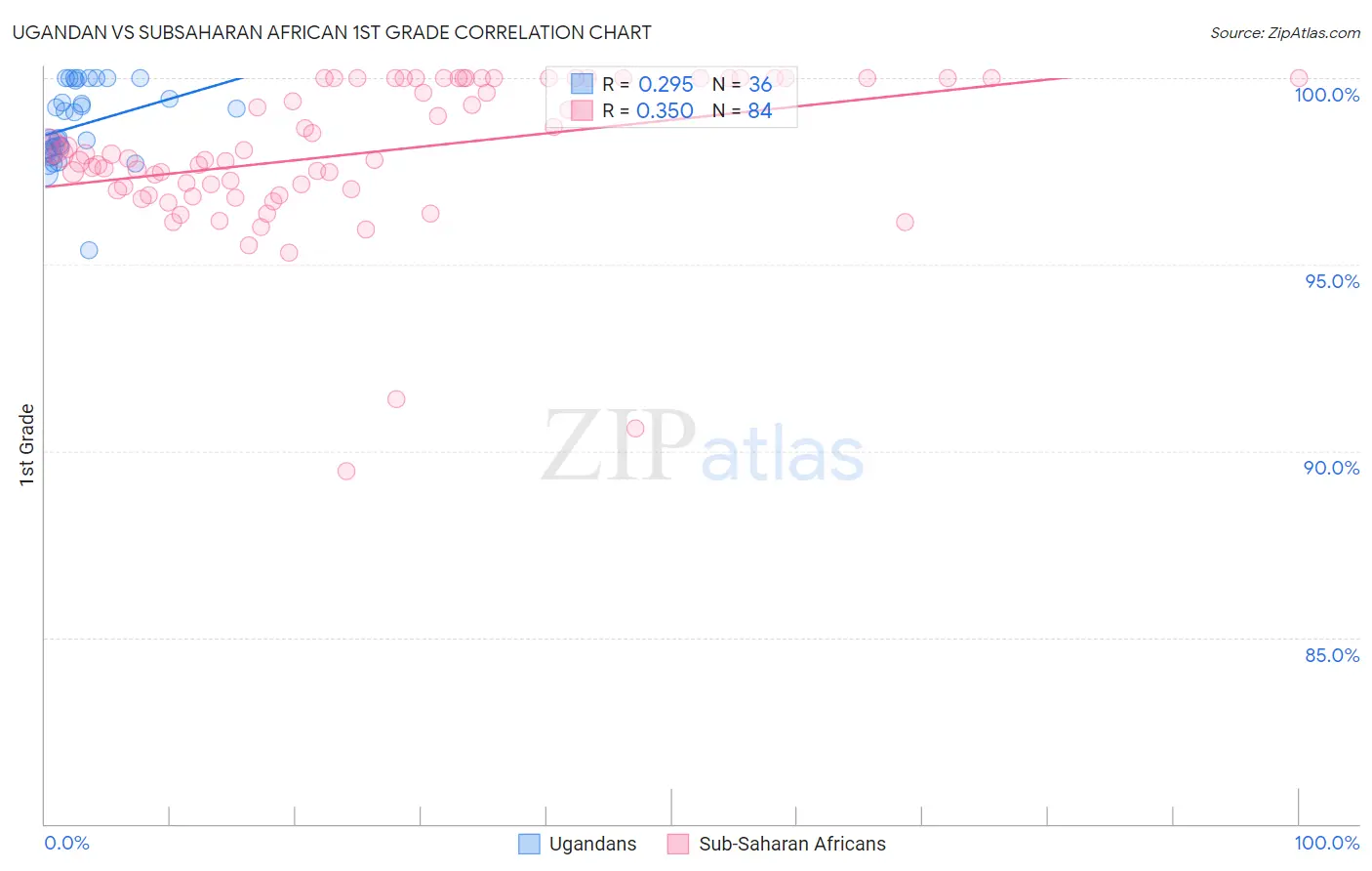 Ugandan vs Subsaharan African 1st Grade
