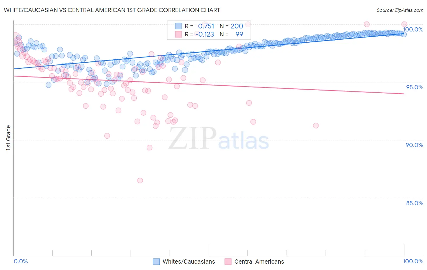 White/Caucasian vs Central American 1st Grade