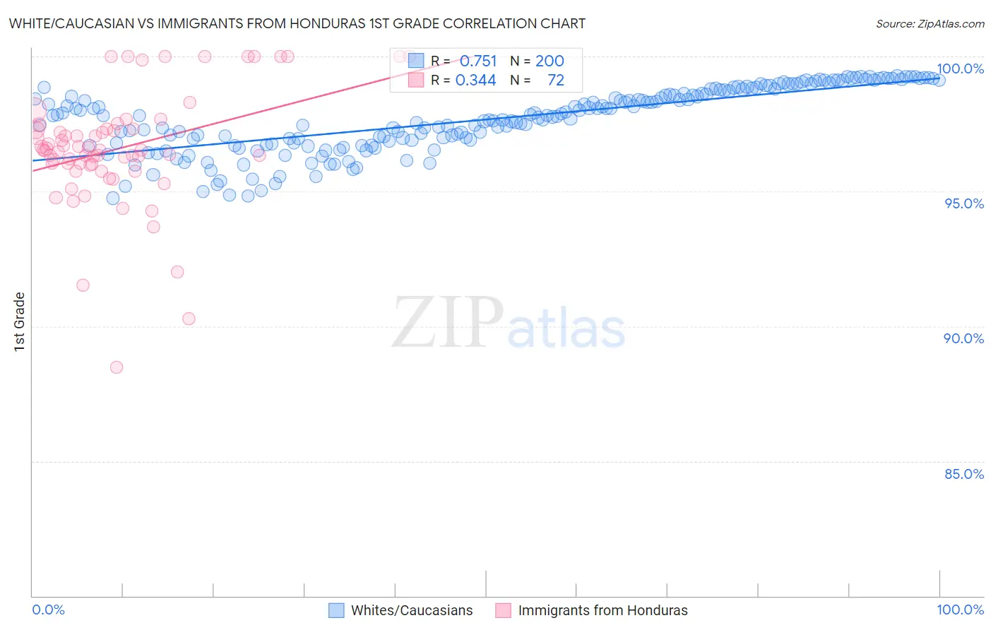 White/Caucasian vs Immigrants from Honduras 1st Grade
