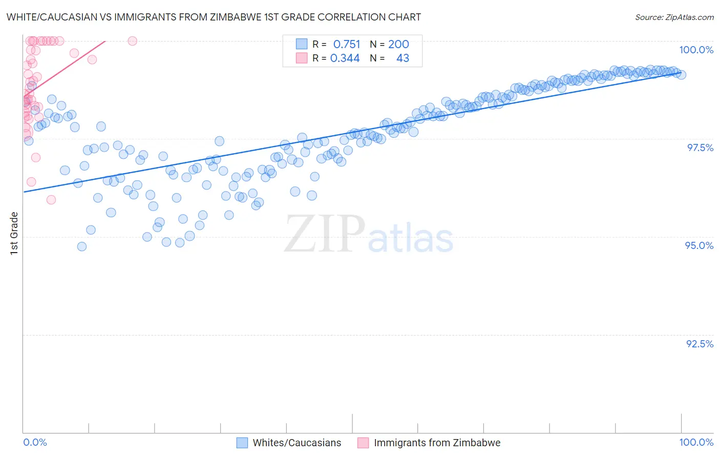 White/Caucasian vs Immigrants from Zimbabwe 1st Grade