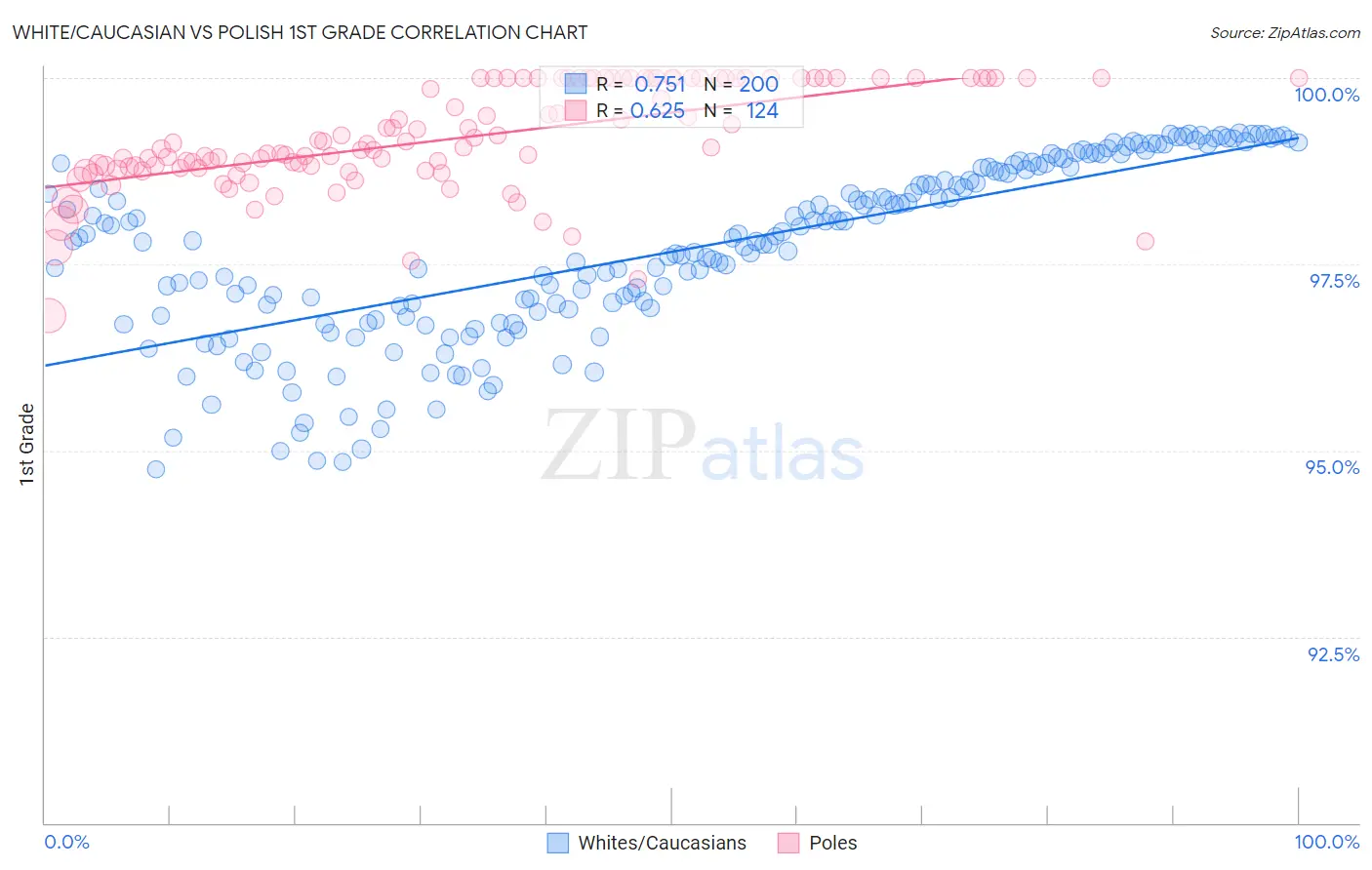 White/Caucasian vs Polish 1st Grade