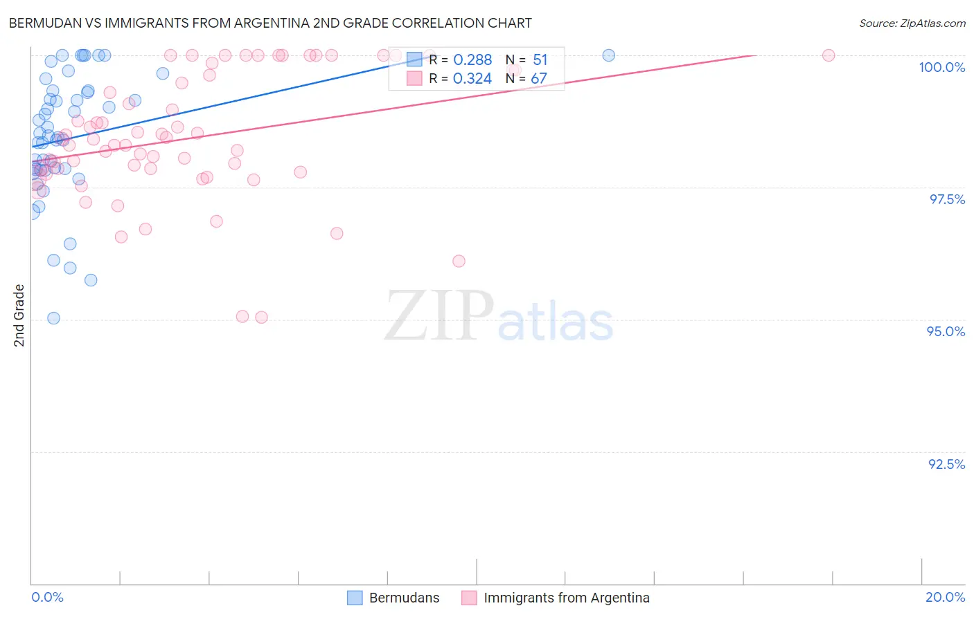 Bermudan vs Immigrants from Argentina 2nd Grade