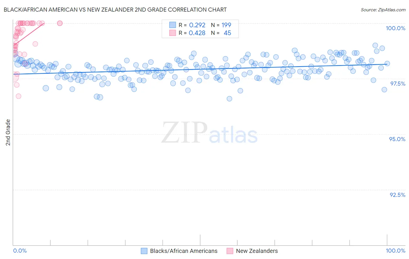 Black/African American vs New Zealander 2nd Grade