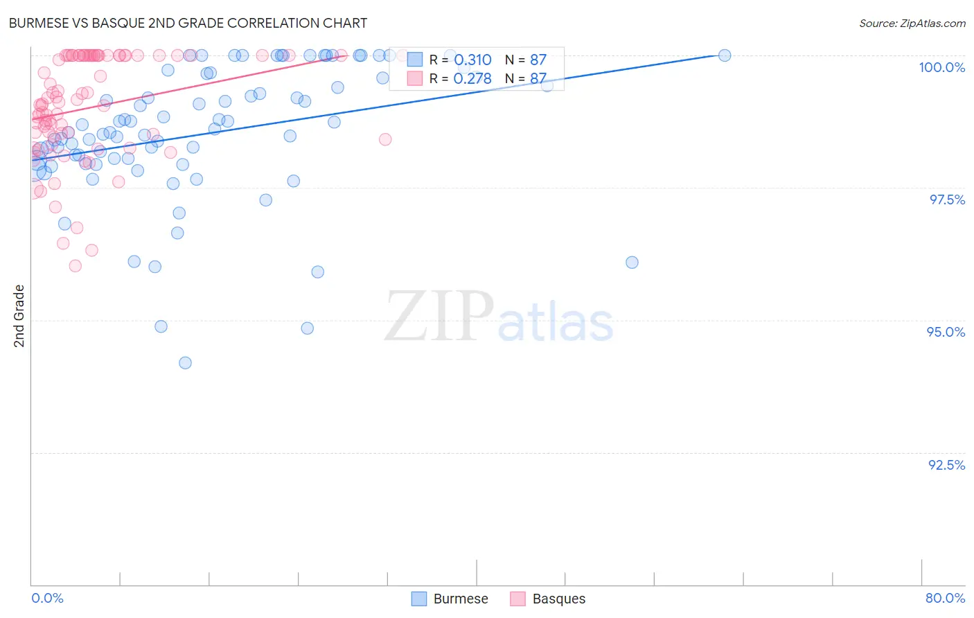 Burmese vs Basque 2nd Grade