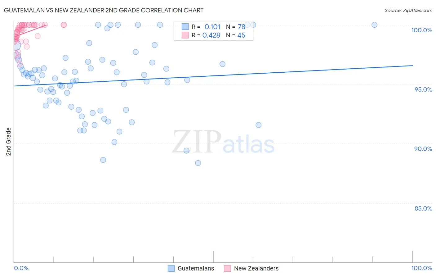 Guatemalan vs New Zealander 2nd Grade