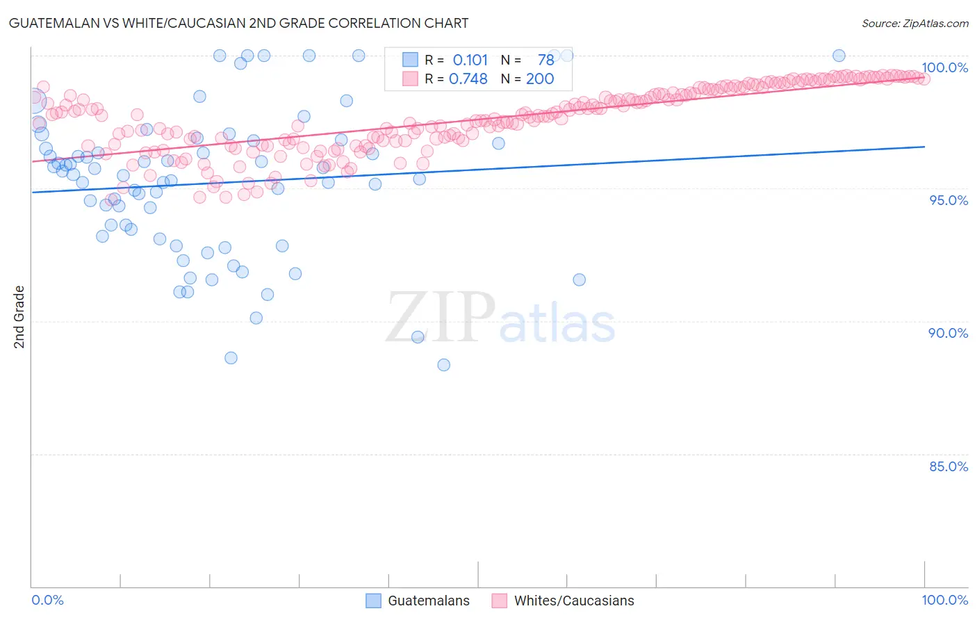 Guatemalan vs White/Caucasian 2nd Grade