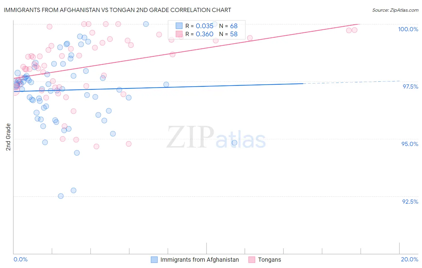 Immigrants from Afghanistan vs Tongan 2nd Grade
