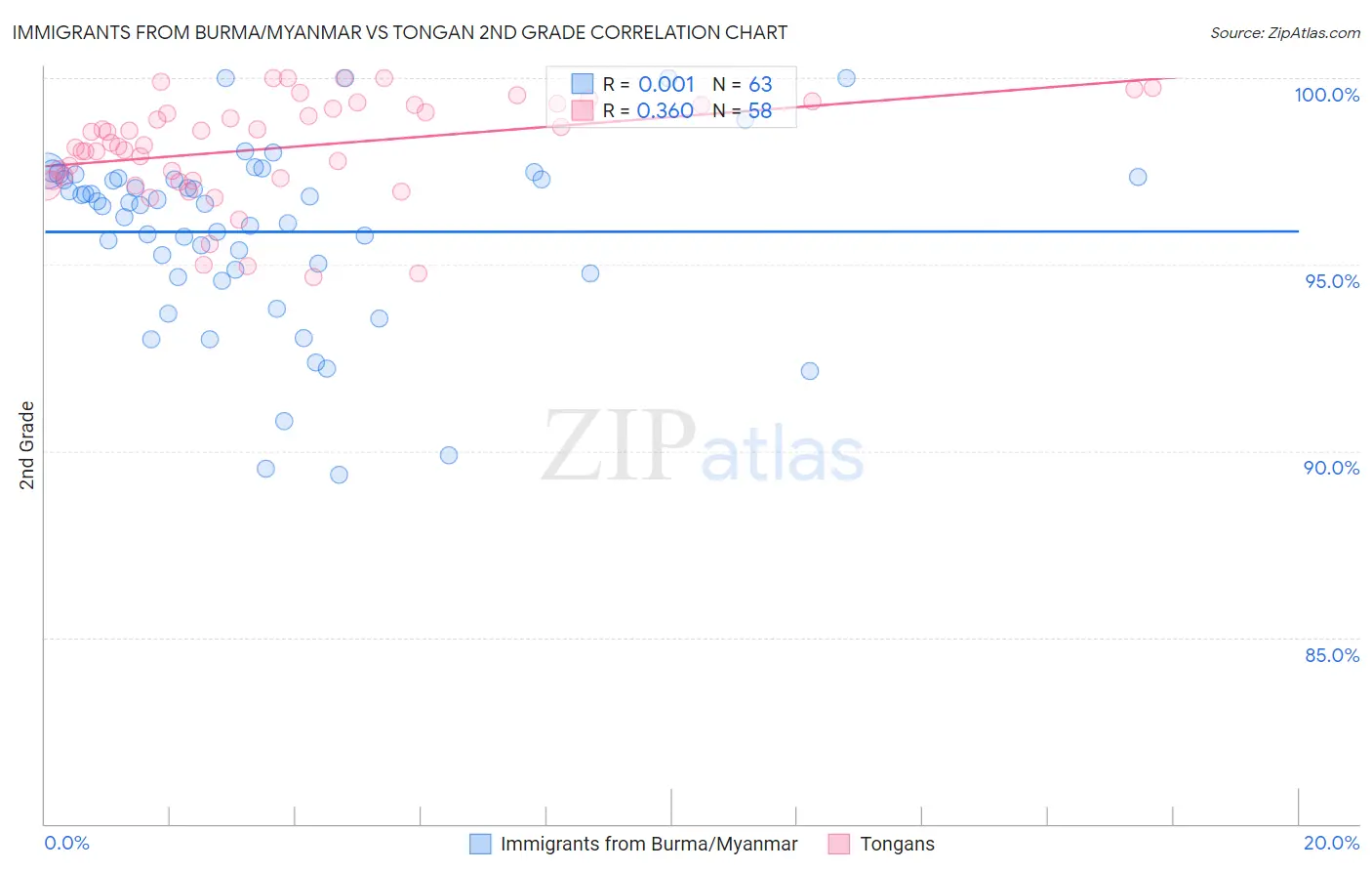 Immigrants from Burma/Myanmar vs Tongan 2nd Grade
