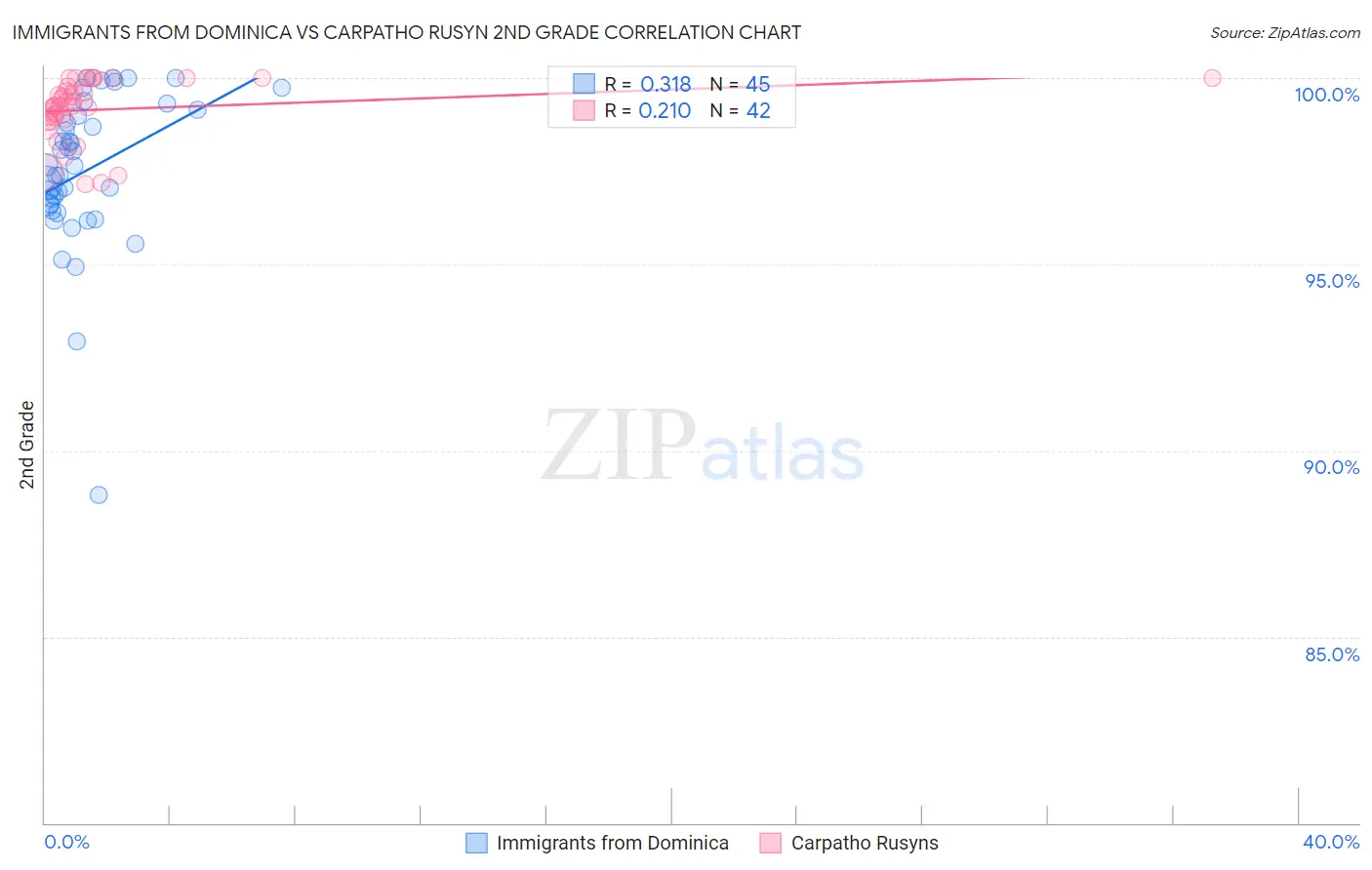 Immigrants from Dominica vs Carpatho Rusyn 2nd Grade