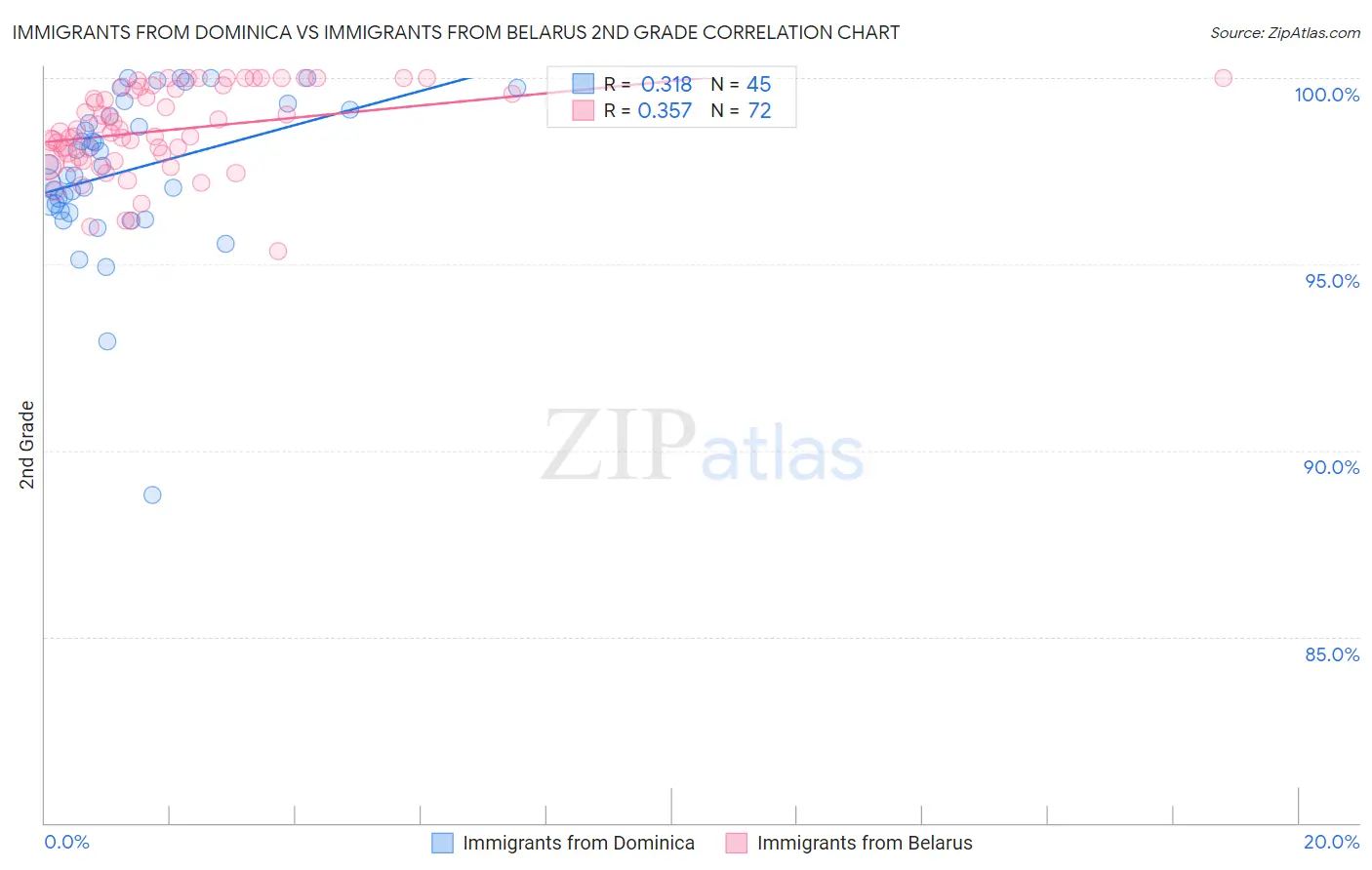 Immigrants from Dominica vs Immigrants from Belarus 2nd Grade