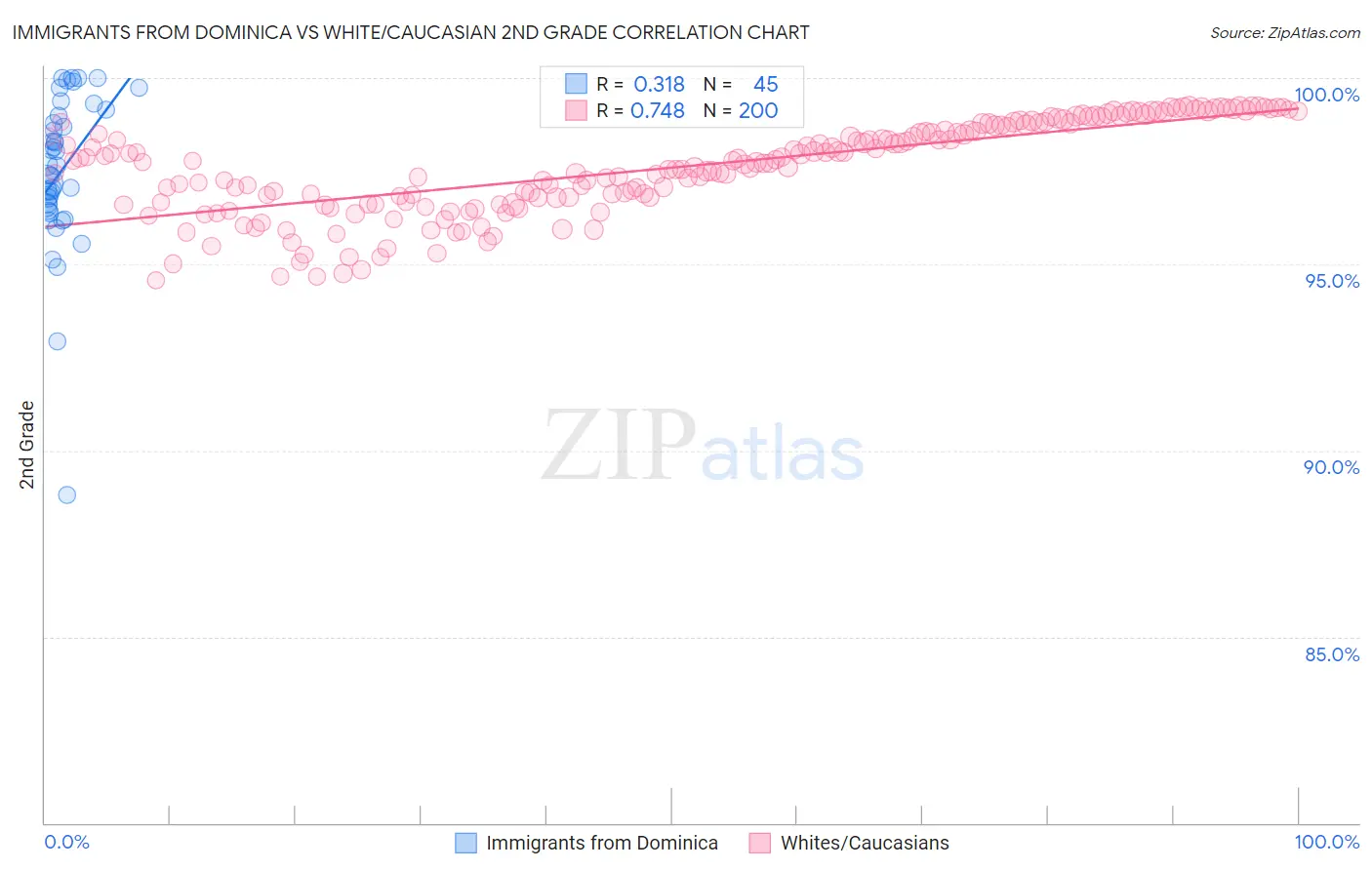 Immigrants from Dominica vs White/Caucasian 2nd Grade