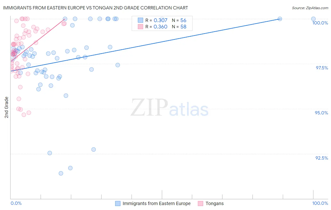 Immigrants from Eastern Europe vs Tongan 2nd Grade