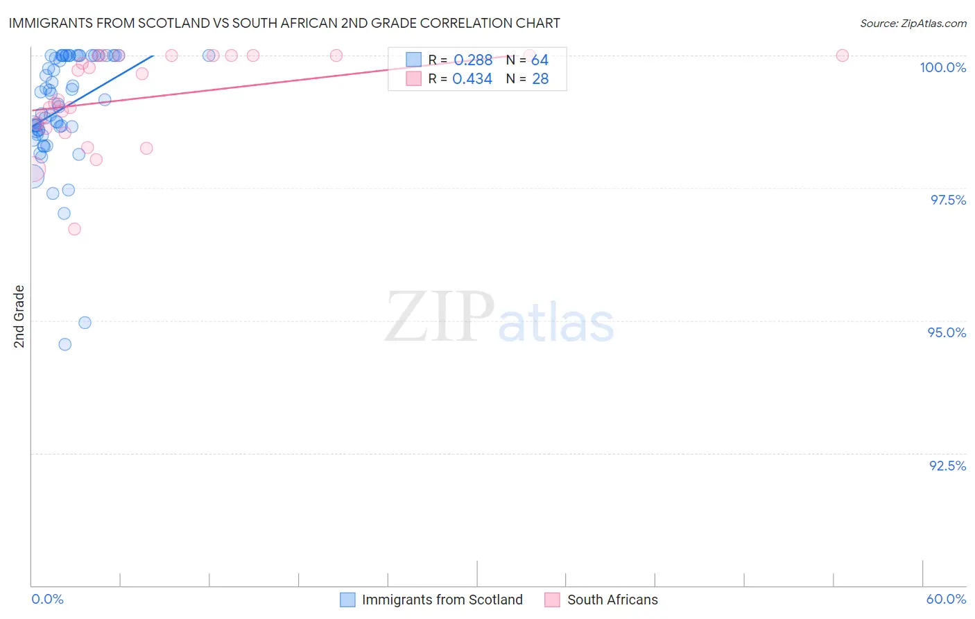 Immigrants from Scotland vs South African 2nd Grade