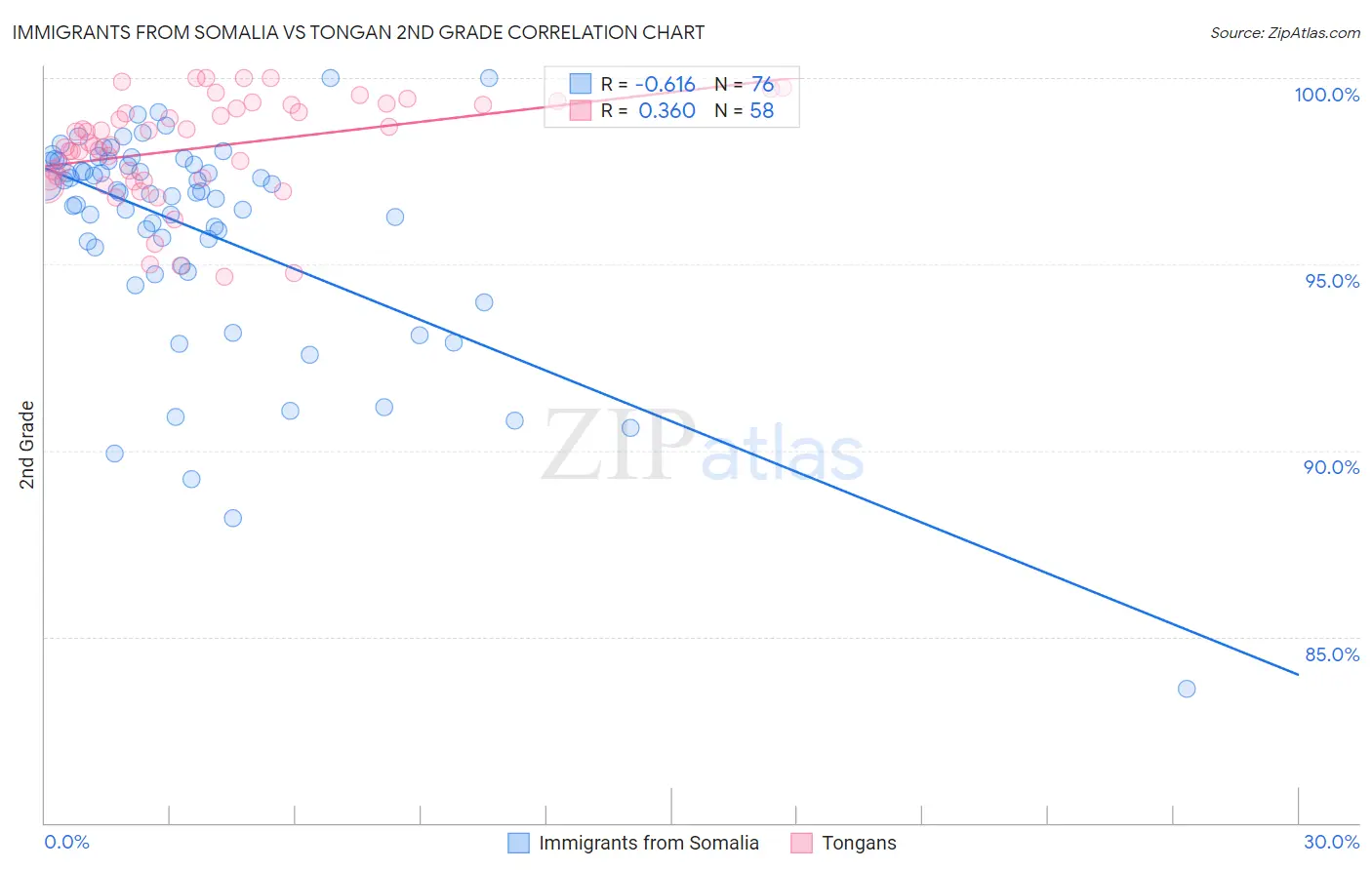 Immigrants from Somalia vs Tongan 2nd Grade
