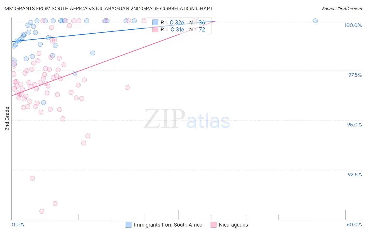 Immigrants from South Africa vs Nicaraguan 2nd Grade