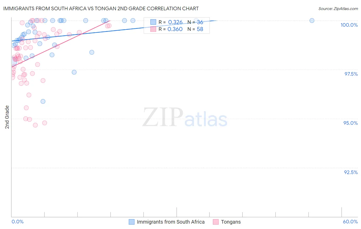 Immigrants from South Africa vs Tongan 2nd Grade