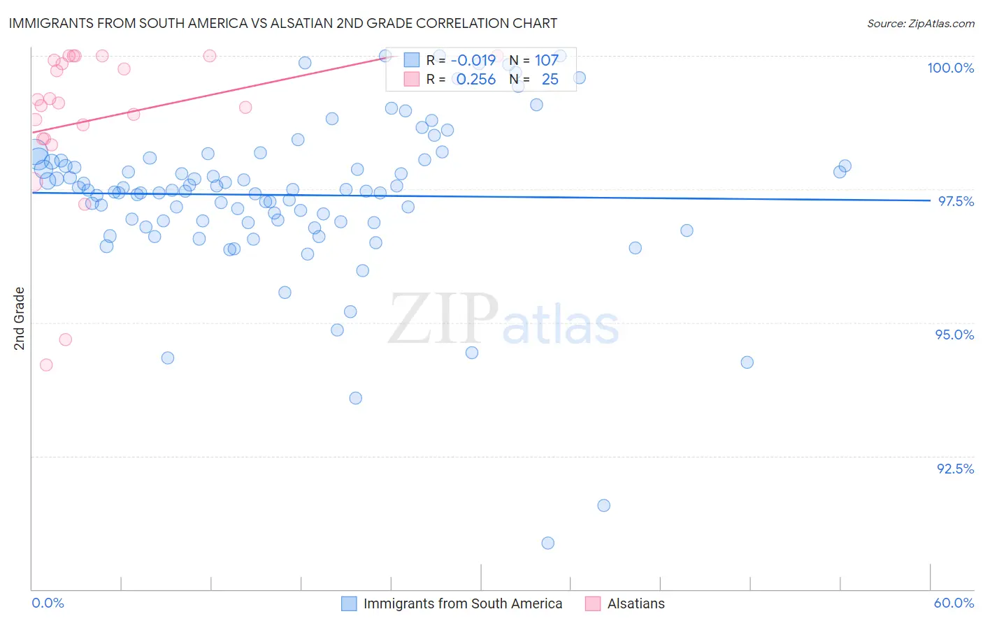 Immigrants from South America vs Alsatian 2nd Grade